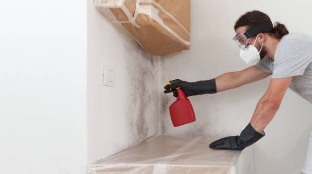 Professional Mold Remediation technician working in Pflugerville, TX