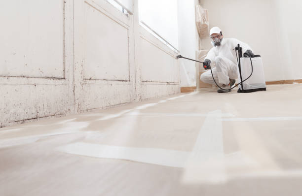 24/7 Emergency Mold Remediation experts in Pflugerville, TX