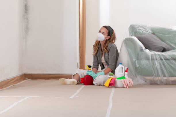 Reliable Mold Remediation contractor in Pflugerville, TX by Car Mold Remediation